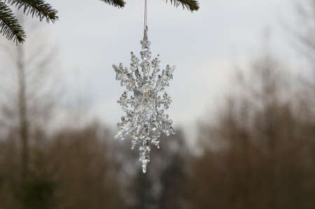 Snowdropの写真素材