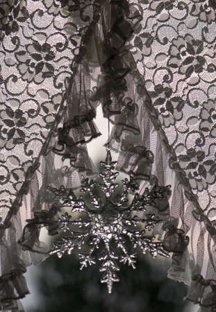 Snowdropの写真素材