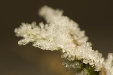 ice crystals