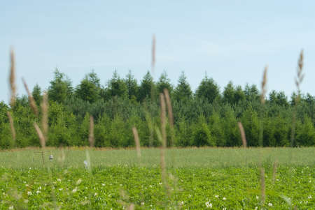 Fieldの写真素材