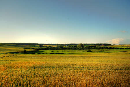 Fieldの写真素材