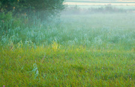 The morning sunの写真素材