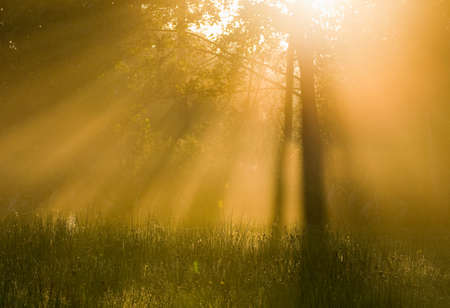 The morning sunの写真素材