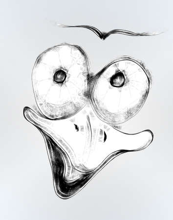 Abstract face duckの写真素材