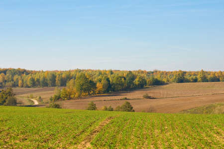 Autumn landscapeの写真素材