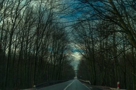 The asphalt road