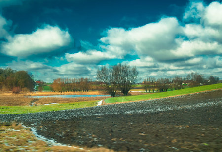 Field