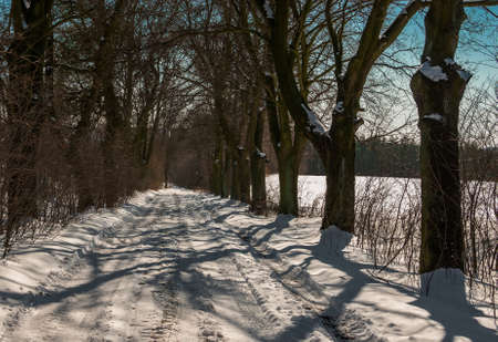 Winter roadの写真素材