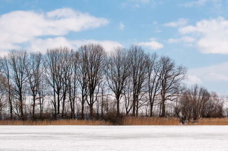 winter fieldの写真素材