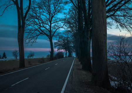Winter road