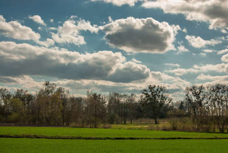 Spring fieldの写真素材