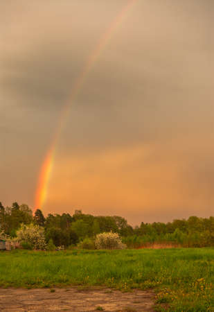 Rainbowの写真素材