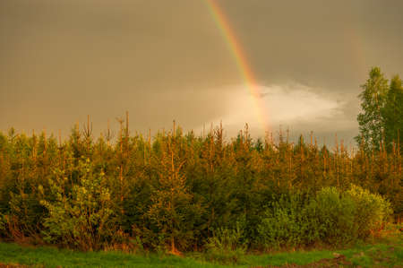 Rainbowの写真素材