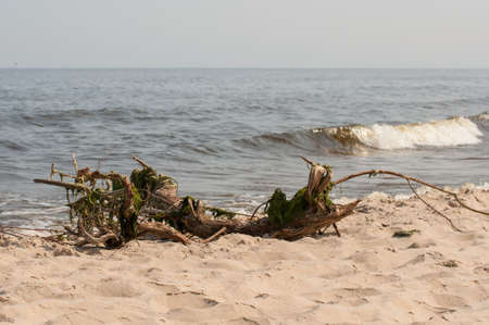 Baltic seaの写真素材