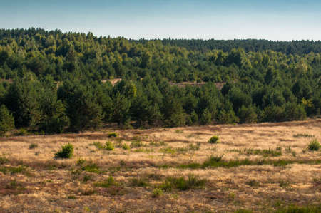 Heathlandの写真素材