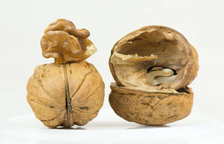 Walnutの写真素材