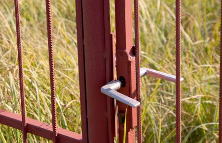 Unclosed old, abandoned gate in high grassの写真素材
