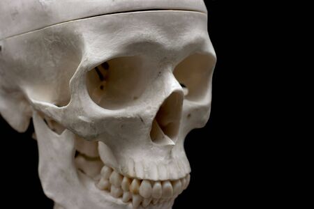 Closeup of a plastic skull isolated on blackの写真素材