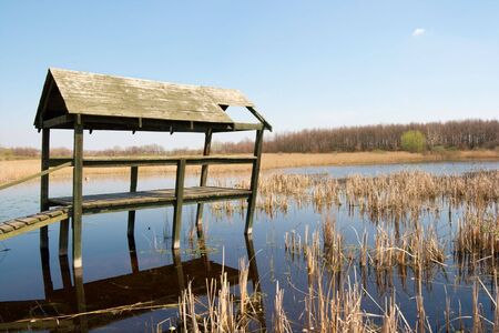 Swamp with ruined wooden structure over itの写真素材