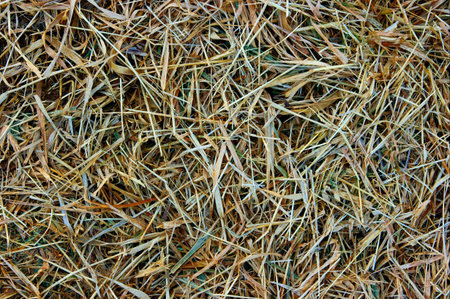 Organic background of plant parts, straw and weed