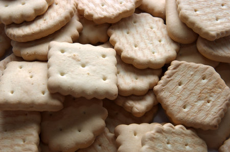 Background made of small simple biscuits