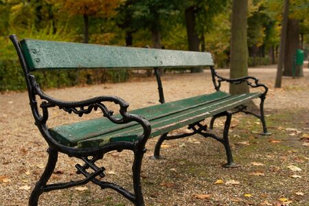 Green wet wooden bench in a parkの写真素材
