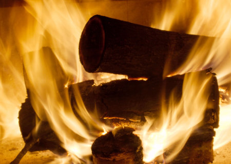 Burning logs in the fireplace