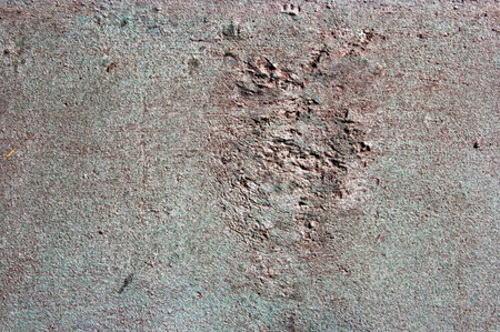 Rough grungy texture of a wall