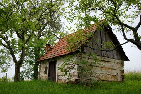 Small, old hut near the forestの写真素材
