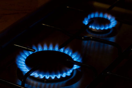 Cooking oven gas flame in the dark