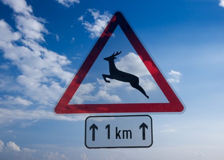 Wildlife crossing the road transparent warning sign in the skyの写真素材