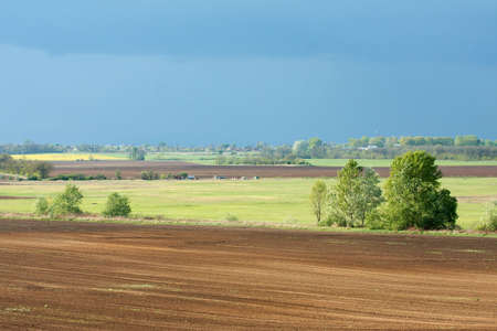 Landscape with agricultural fieldsの写真素材