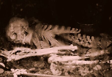 Remains of a human skeleton undergroundの写真素材