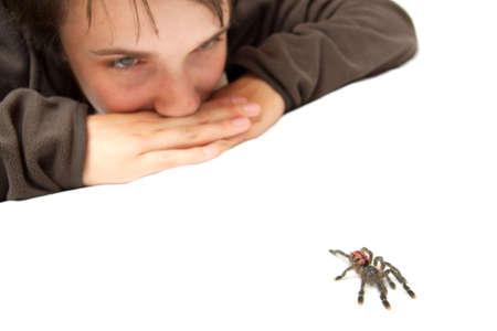 Girl watching a crawling spiderの写真素材