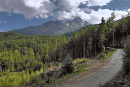 Mountain landscape with forest and dirt-roadの写真素材