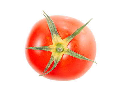 Tomato isolated on white backgroundの写真素材