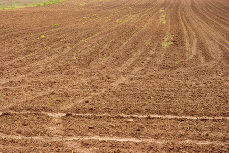 Brown soil of an agricultural field