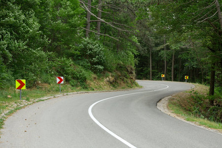 Road int the mountains going through a forest