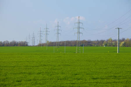 Power lines over a green fieldの写真素材