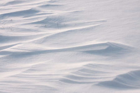 Field with fresh snowの写真素材