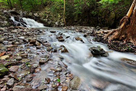 Fast mountain stream with small waterfallの写真素材