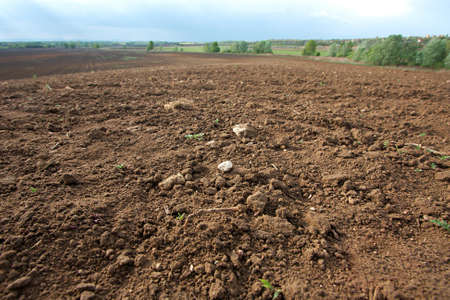 Brown agricultural soil of a fieldの写真素材