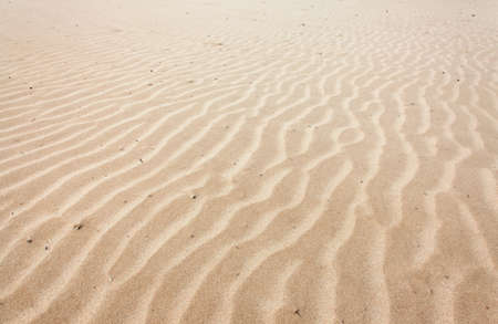 Lines in the sand of a beachの写真素材