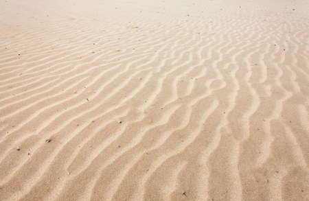 Lines in the sand of a beach