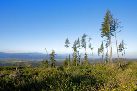 Summer landscape in the Tatra mountainsの写真素材