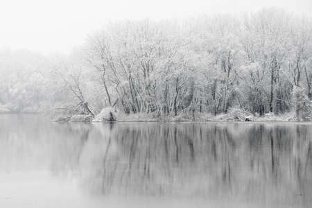 Frozen forest on the riversideの写真素材