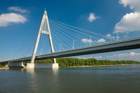 Cable bridge over a riverの写真素材