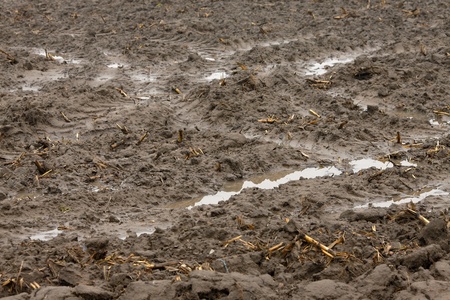 Muddy wet soil of a fieldの写真素材