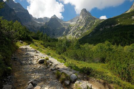 Hiking trail in the mountainsの写真素材