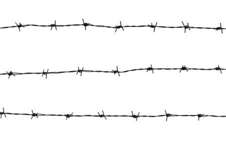 Barbed wires isolated on white backgroundの写真素材